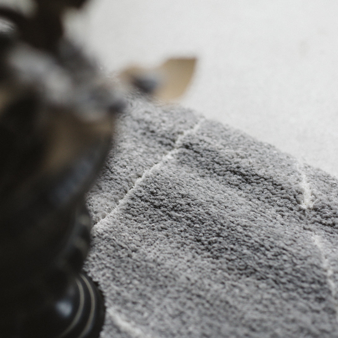 Modern Col. / RN RUG 028 - GY