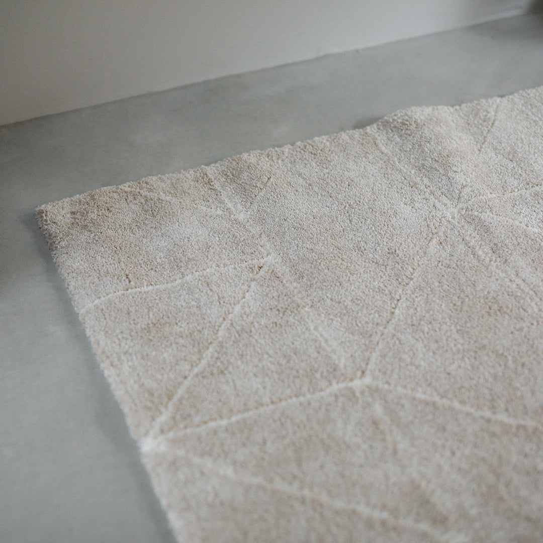 Modern Col. / RN RUG 028 - BE