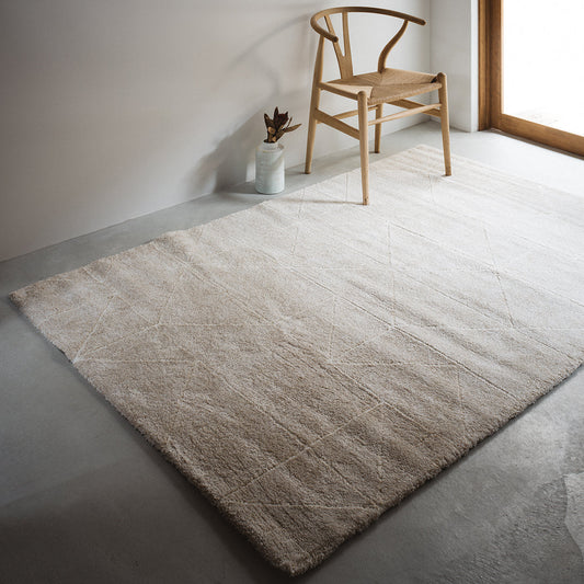 Modern Col. / RN RUG 028 - BE